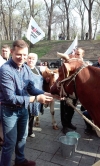 Ляшко привів під Кабмін корів