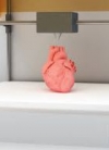 Український стартап друкуватиме людські кістки та органи на 3D-принтері (відео)
