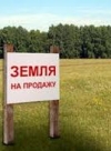 СЕТАМ розпочинає продаж арештованих земельних ділянок