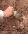 На Вінниччині знайшли рідкісну стелу епохи бронзи (фото)