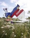 Американський журналіст про МН17: Росіяни навмисно збили пасажирський літак