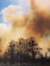 У низці областей України зберігається надзвичайна пожежна небезпека