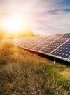 Сонячну електростанцію у Чорнобильській зоні хочуть будувати японці