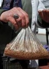 У трьох виборчих округах з семи, де повинні відбутися довибори у ВР, йде підкуп виборців (документ)