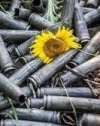 ЗСУ намагаються ідентифікувати 85 тіл загиблих на території Донбасу