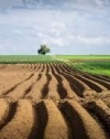4,3 мільйона гектарів полів відсутні у держкадастрі – дослідження