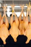 Путін наказав знищувати європейські продукти прямо на кордоні