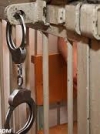 Чечетов пригрозив, що арештовані активісти залишаться у в'язниці