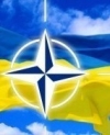 Тимошенко все ще сподівається провести референдум про вступ України в НАТО у день парламентських виборів