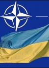 ПА НАТО задекларувала  "євроатлантичні прагнення" України (фото)