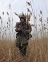 За минулу добу у зоні  АТО жоден український військовослужбовець не загинув