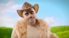 Wellboy - "Марина" – 6 місце чарту FM-TV минулого тижня. (+ ВІДЕО)