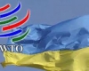 СОТ не розуміє, як Азаров зможе компенсувати їх поступки