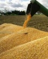 Україна запропонувала замінити Росію на турецькому агроринку